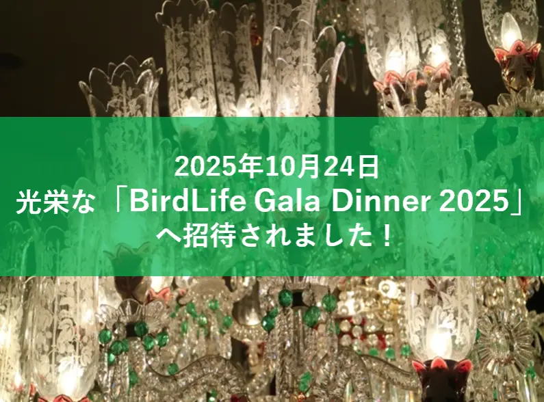 「BirdLife Gala Dinner 2025」への招待