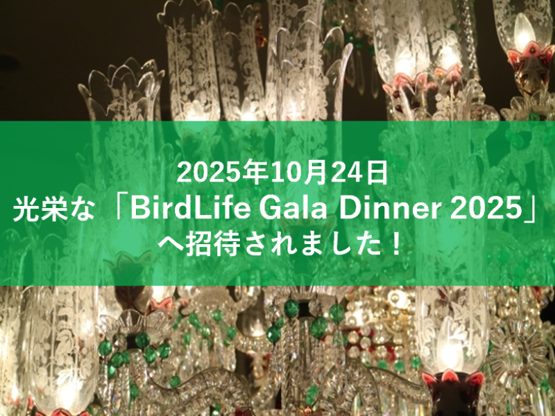 スクリーンショット 2025-10-17 173723